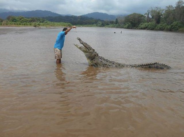 Ситуации,случай,ЧП,курьёзы