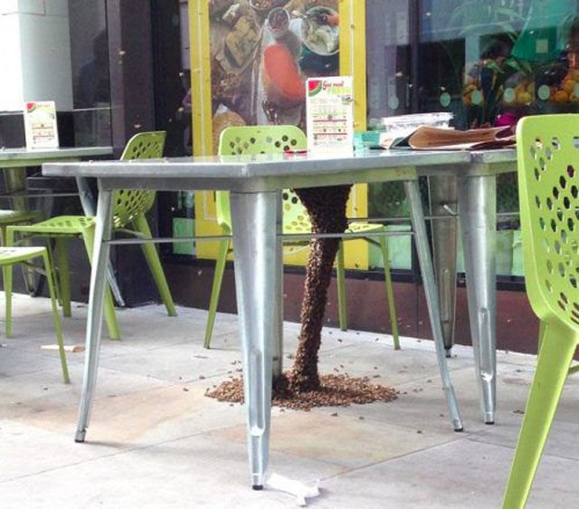 Ситуации,случай,ЧП,курьёзы