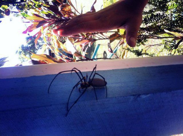 Ситуации,случай,ЧП,курьёзы