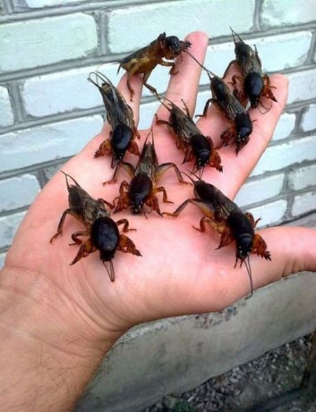 Ситуации,случай,ЧП,курьёзы