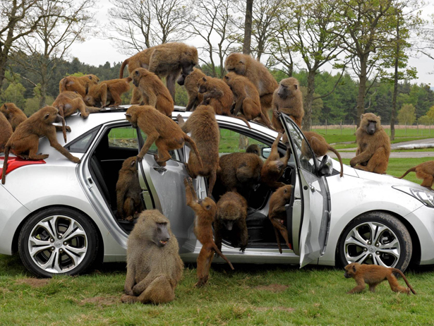 Ситуации,случай,ЧП,курьёзы