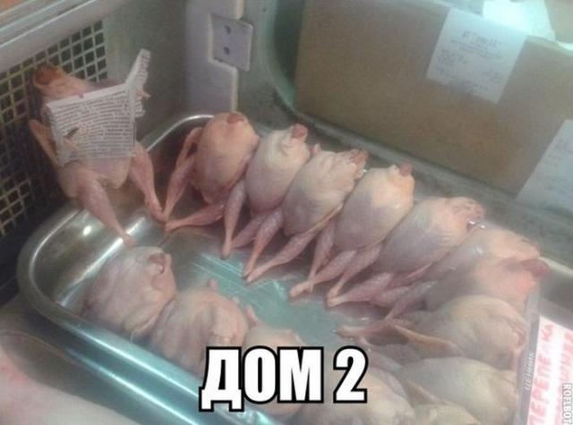 Позитив,юмор, смешные фотографии,смех,прикол