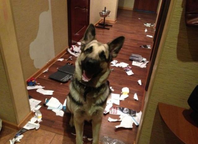 Позитив,юмор, смешные фотографии,смех,прикол