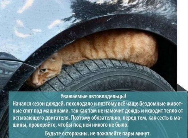 Позитив,юмор, смешные фотографии,смех,прикол