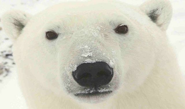 Не делайте эти вещи, если хотите дожить до старости Не делайте, эти вещи, если хотите дожить до старости, умереть молодым, сокращают жизнь, в 2 раза