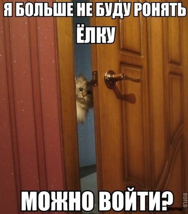 Позитив, юмор, смешные фотографии,прикол