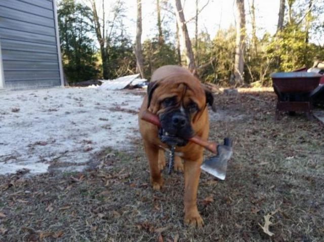 Позитив, юмор, смешные фотографии,прикол