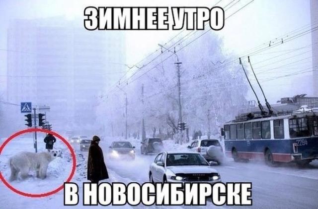 Позитив, юмор, смешные фотографии,прикол