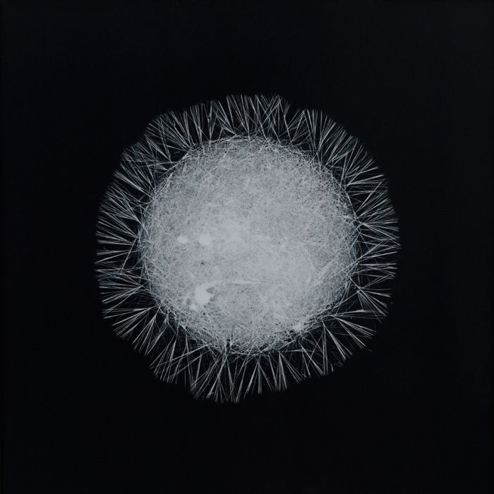 Наркотики, под микроскопом, Кетамин, кокаин, ЛСД, спиды, мэджик