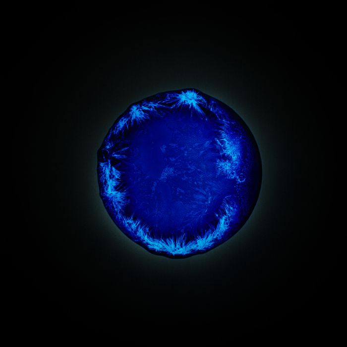 Наркотики, под микроскопом, Кетамин, кокаин, ЛСД, спиды, мэджик