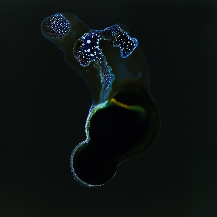 Наркотики, под микроскопом, Кетамин, кокаин, ЛСД, спиды, мэджик