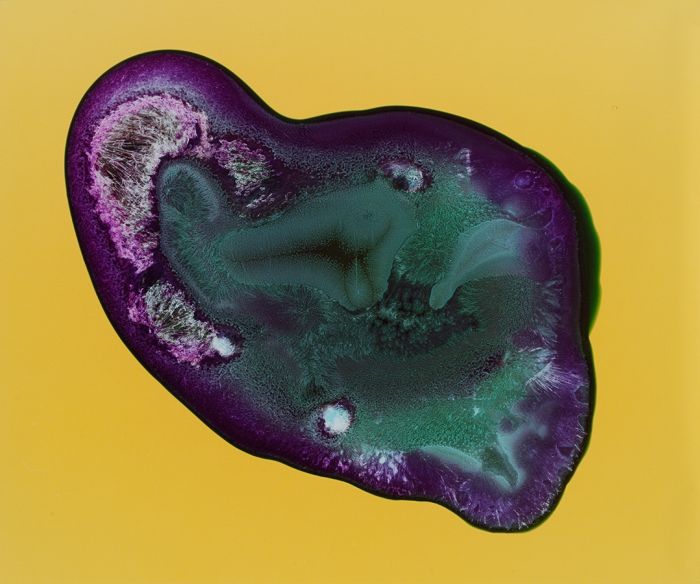 Наркотики, под микроскопом, Кетамин, кокаин, ЛСД, спиды, мэджик