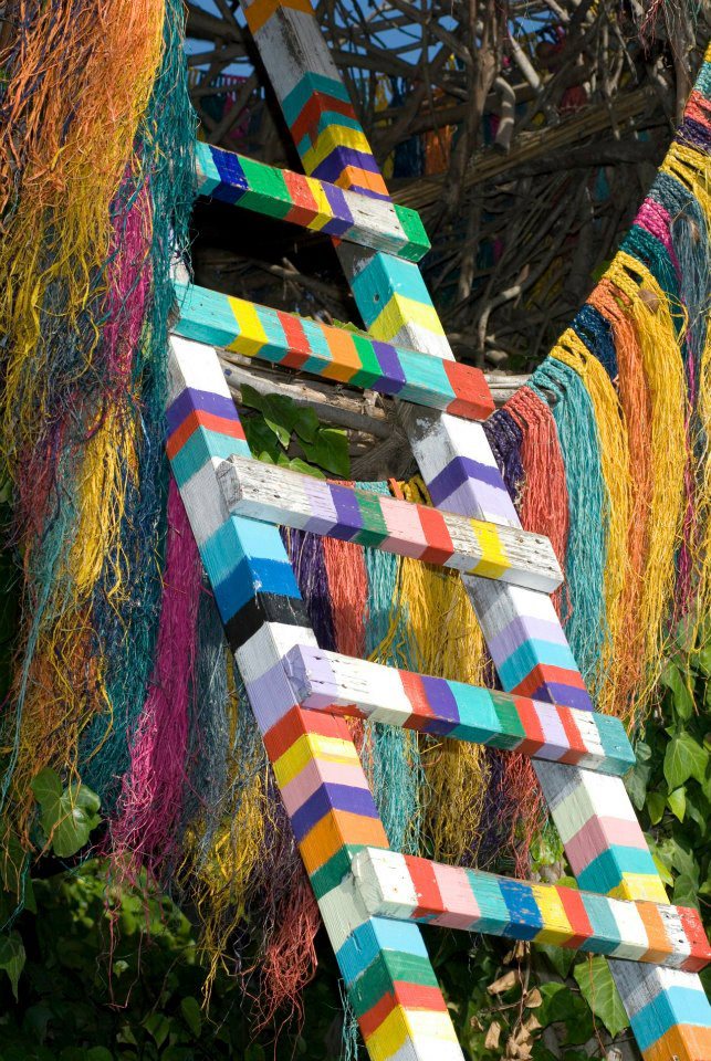 Джейсон Фанн, гнёзда для людей