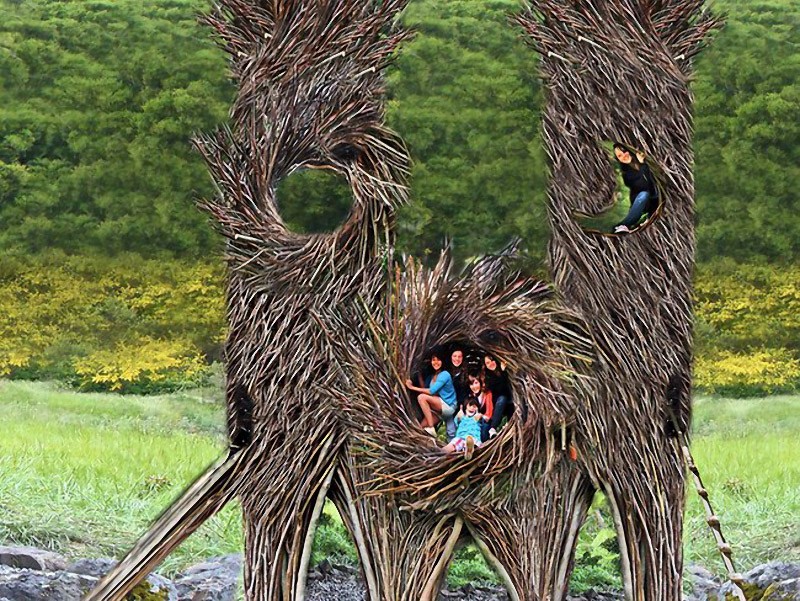 Джейсон Фанн, гнёзда для людей