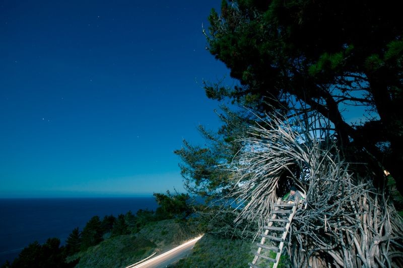 Джейсон Фанн, гнёзда для людей