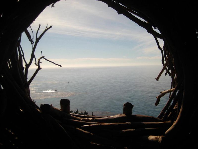 Джейсон Фанн, гнёзда для людей