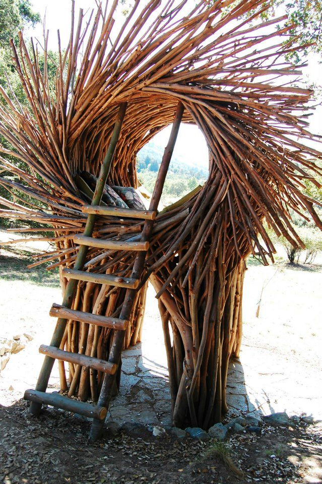 Джейсон Фанн, гнёзда для людей