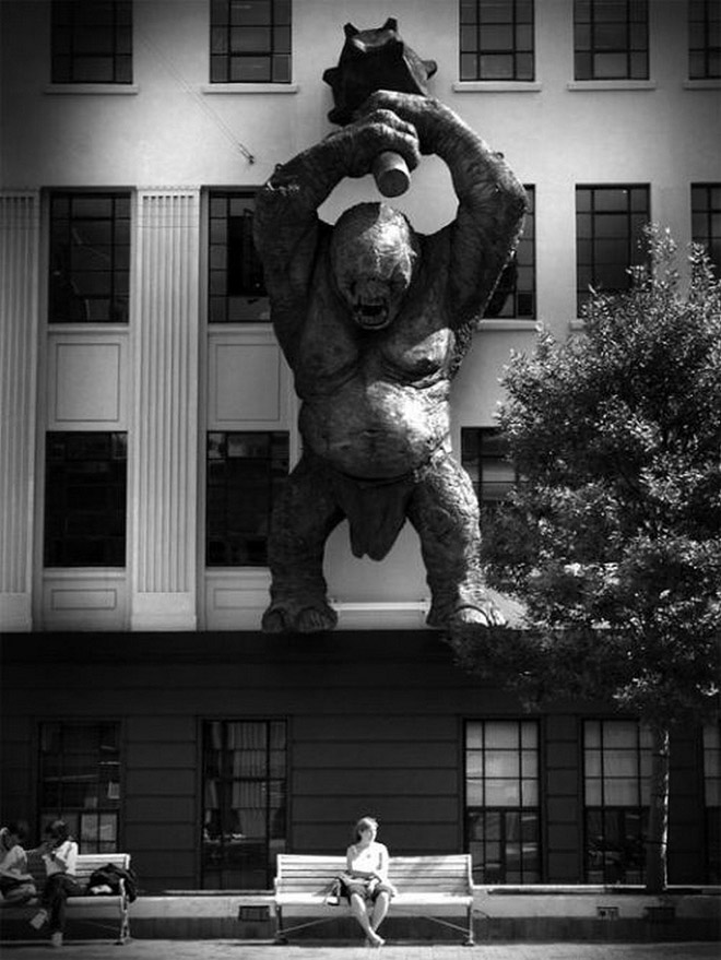 в нужный момент, поймать кадр, лови момент