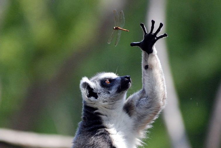 в нужный момент, поймать кадр, лови момент
