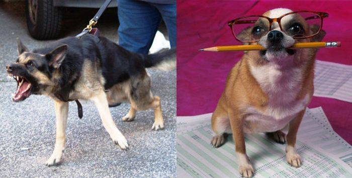 Смешные, фото, ожидание, реальность