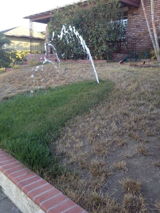 Человеческая глупость, тупость, чудаки