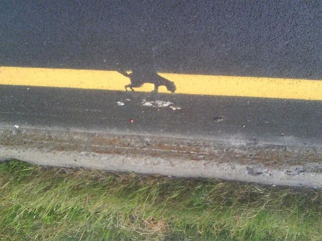 Человеческая глупость, тупость, чудаки