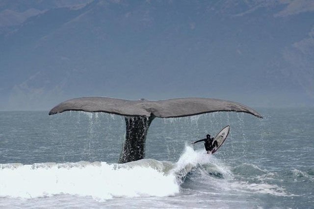 трогательные фото, волнующие снимки, эмоциональные фотографии