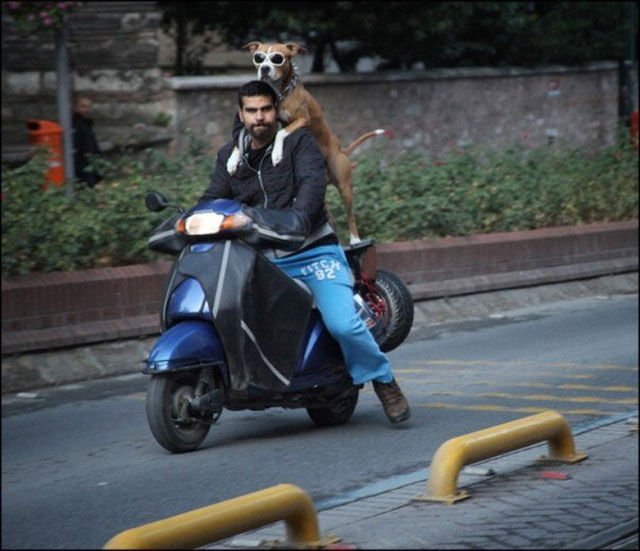 трогательные фото, волнующие снимки, эмоциональные фотографии