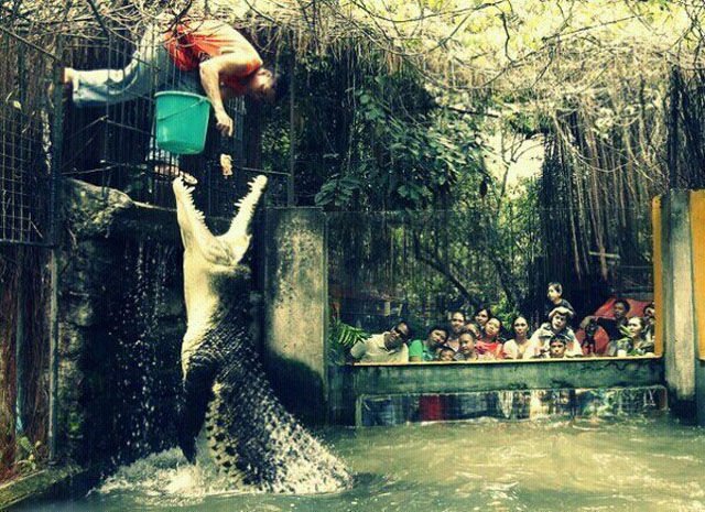 трогательные фото, волнующие снимки, эмоциональные фотографии