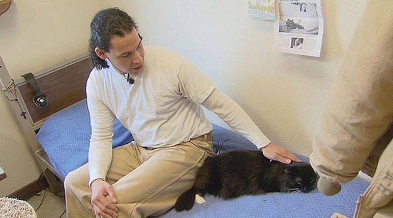 Позитивные и познавательные факты обо всём на свете Позитивные, познавательные, факты