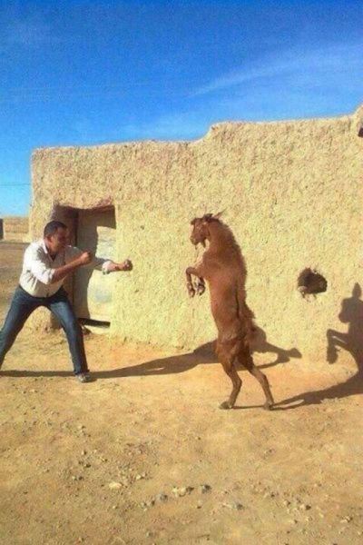 Что за хрень?! смешные, необъяснимые, фотографии,