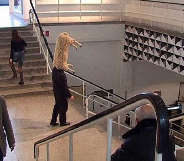 Что за хрень?! смешные, необъяснимые, фотографии,