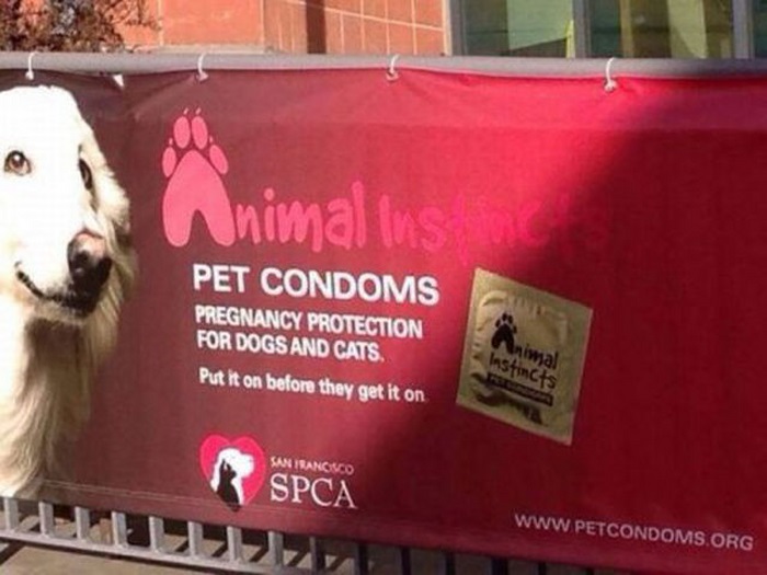 Что за хрень?! смешные, необъяснимые, фотографии,