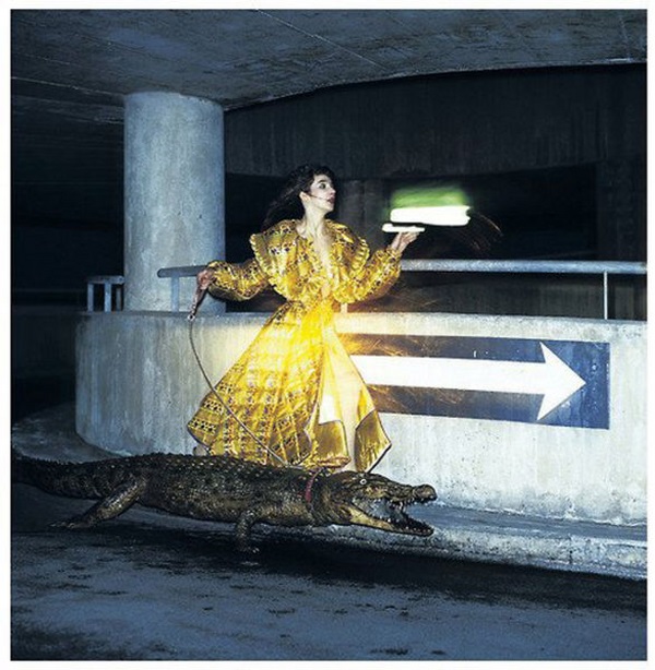 Что за хрень?! смешные, необъяснимые, фотографии,