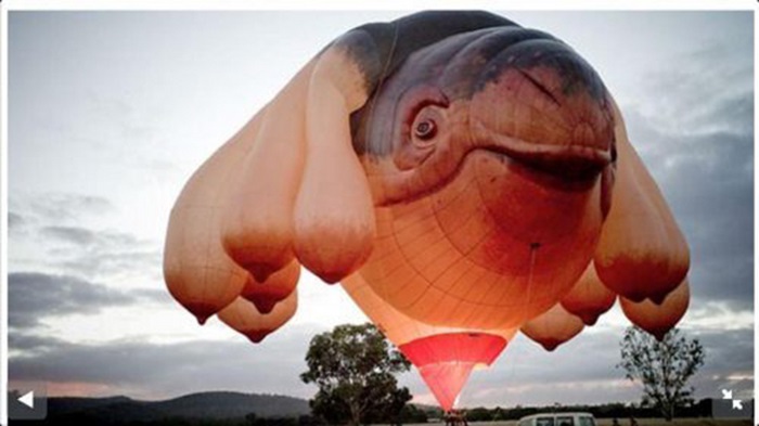 Что за хрень?! смешные, необъяснимые, фотографии,