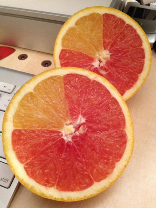 Смешные фото, люди нарушают, запреты,законы, делают что хотят