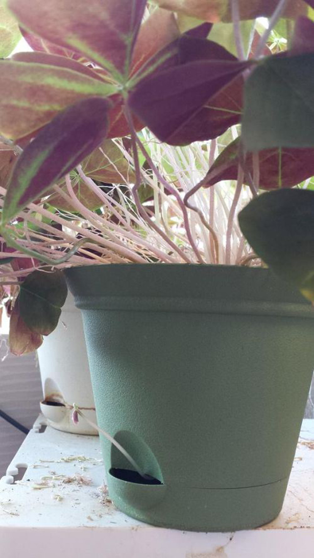 Смешные фото, люди нарушают, запреты,законы, делают что хотят