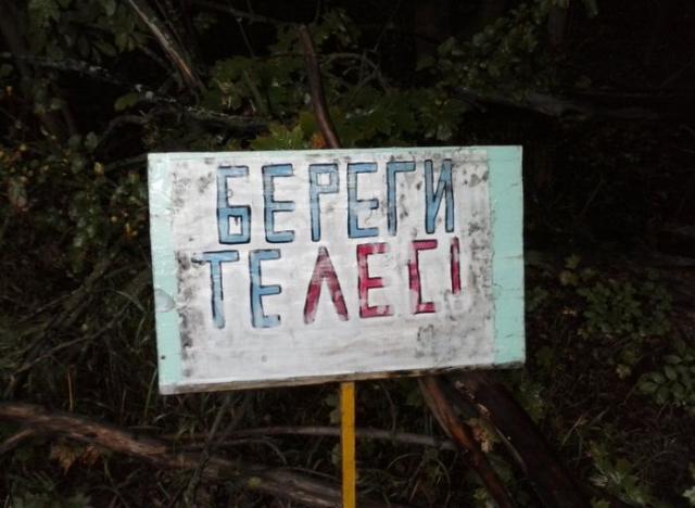 смешные надписи, объявления, маразмы