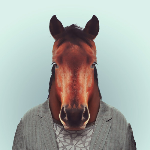 Яго Партал, Зоопортреты,одетые животные