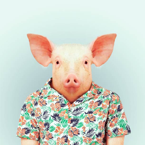 Яго Партал, Зоопортреты,одетые животные