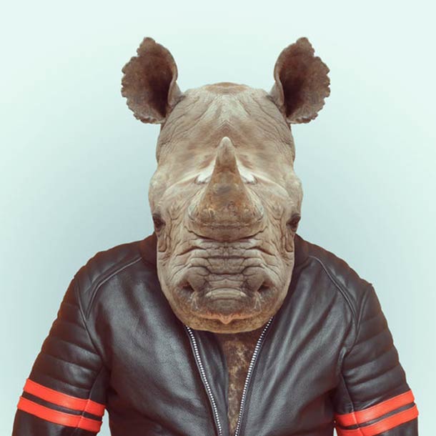 Яго Партал, Зоопортреты,одетые животные