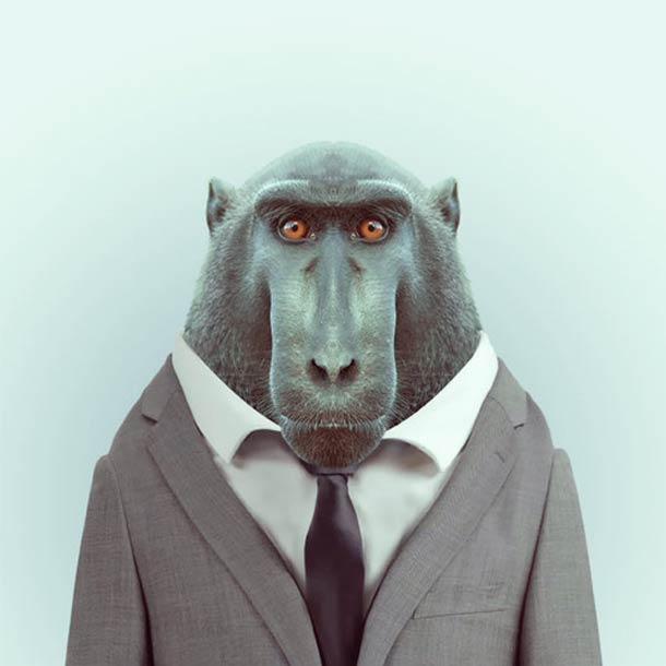 Яго Партал, Зоопортреты,одетые животные