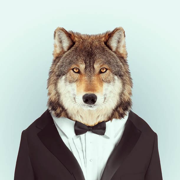 Яго Партал, Зоопортреты,одетые животные