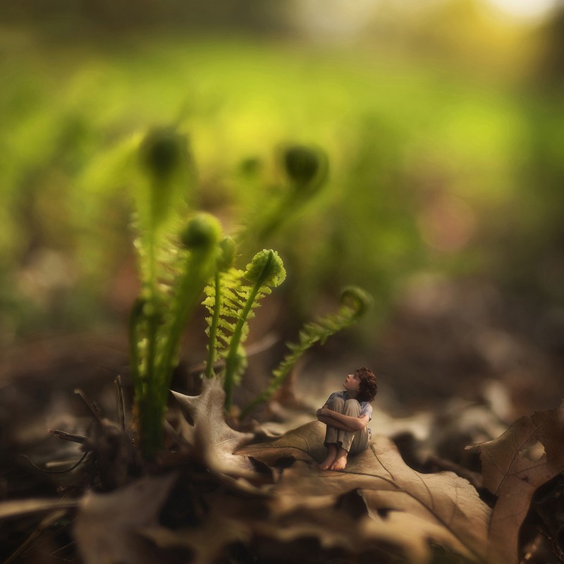 Зев 14-ти летний фотограф? маленький народ? little folk