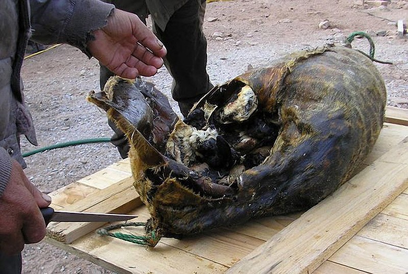 опасные продукты