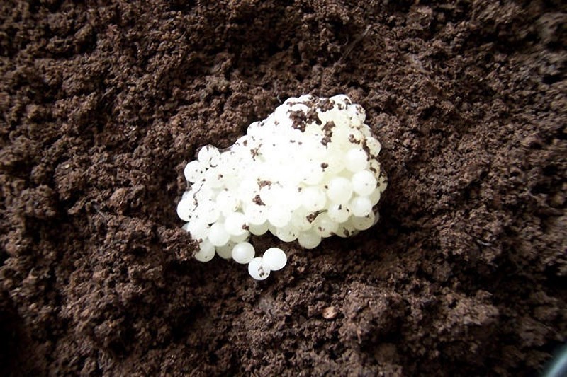 опасные продукты