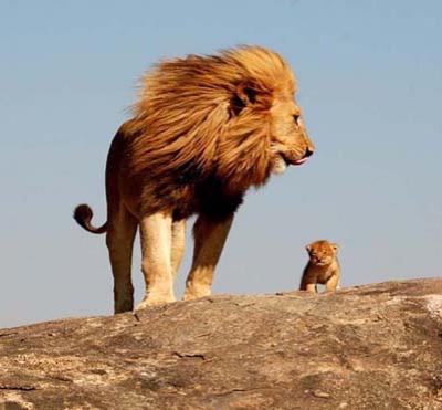 Герои мультфильмов в реальности