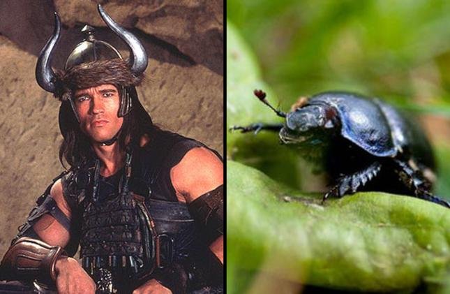 организмы, в честь, знаменитости,актёры, по нелепым причинам 