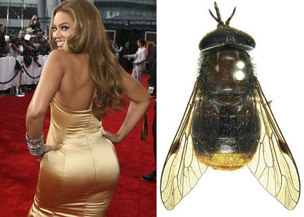 организмы, в честь, знаменитости,актёры, по нелепым причинам 