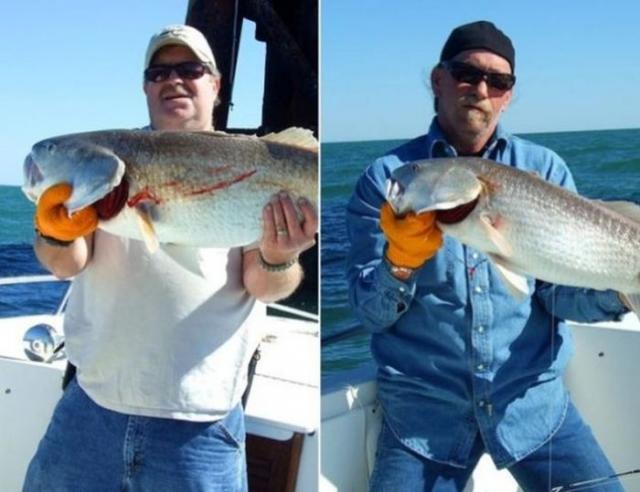 страшные истории людей 